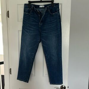 Vervet ankle Jean. Button fly